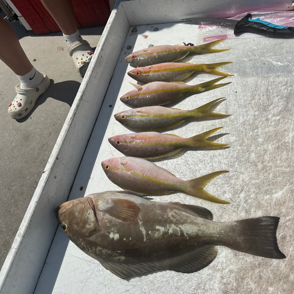 Fishing in Destin