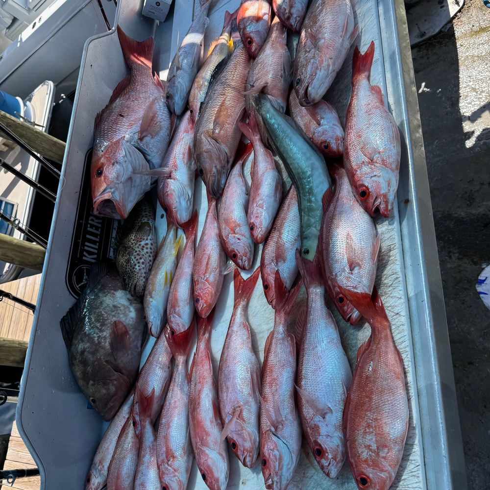 Fishing in Destin