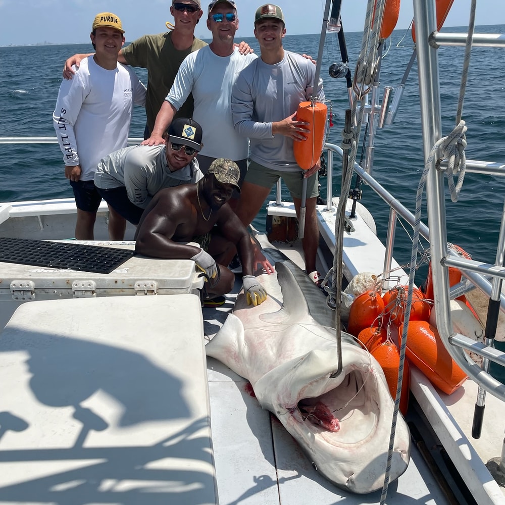 Fishing in Destin