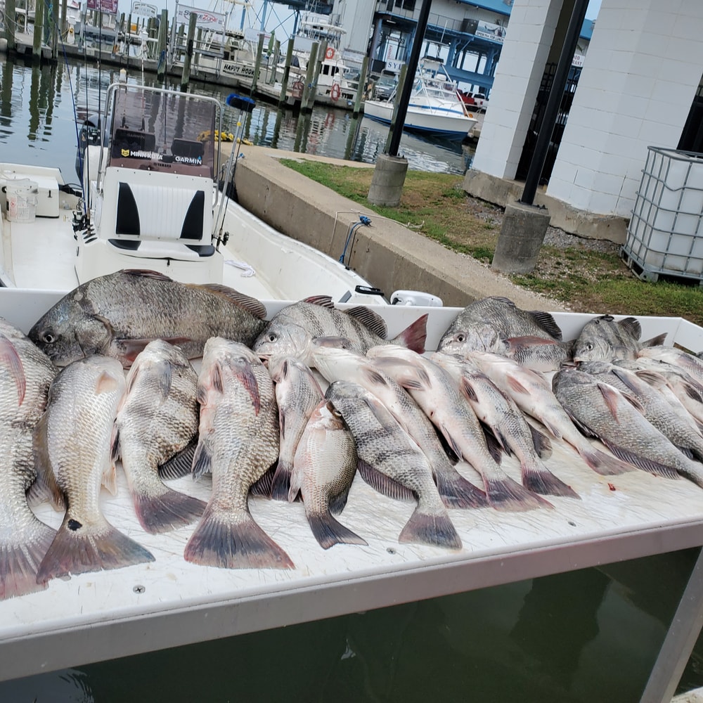 Fishing in Destin