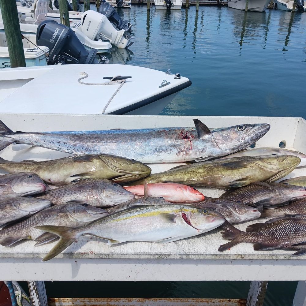 Fishing in Destin