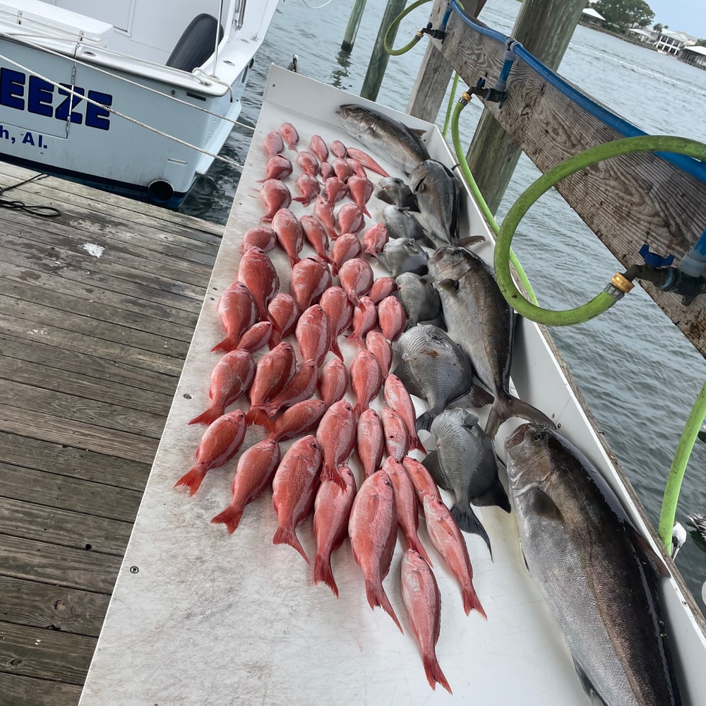 Fishing in Destin