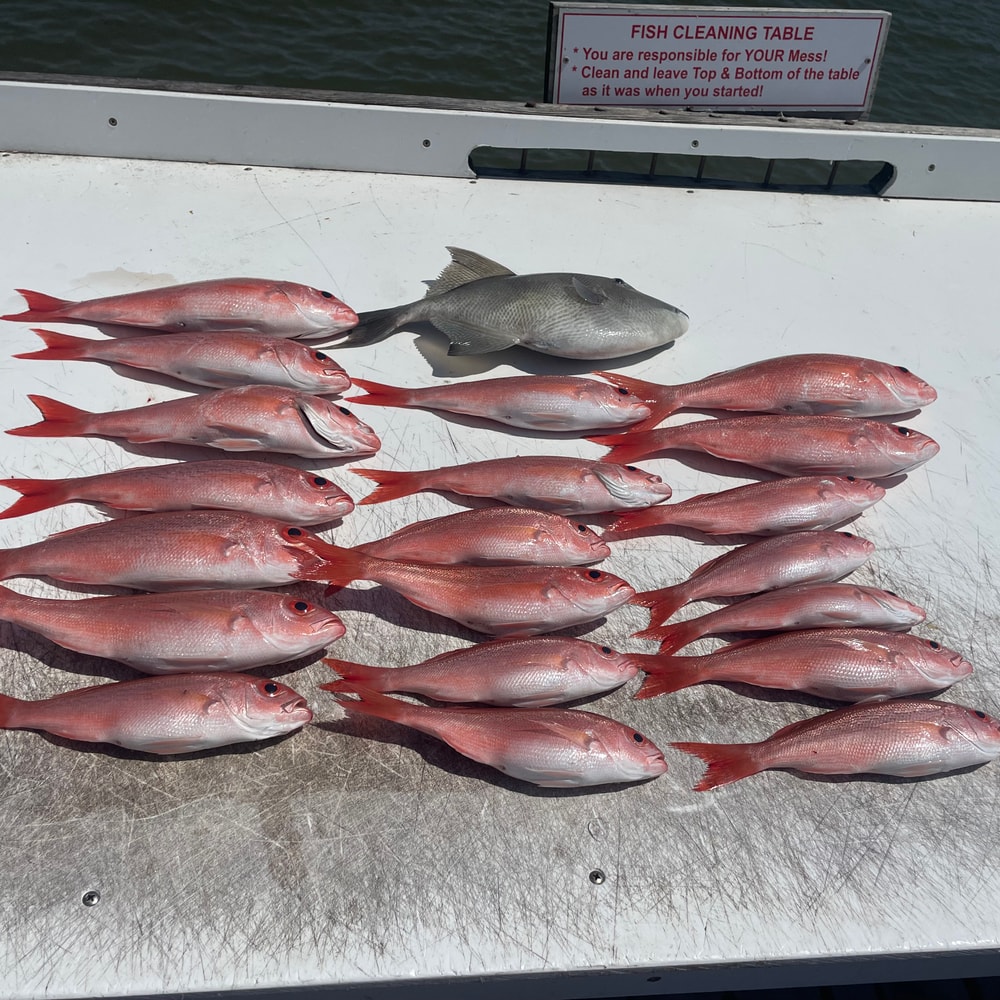 Fishing in Destin
