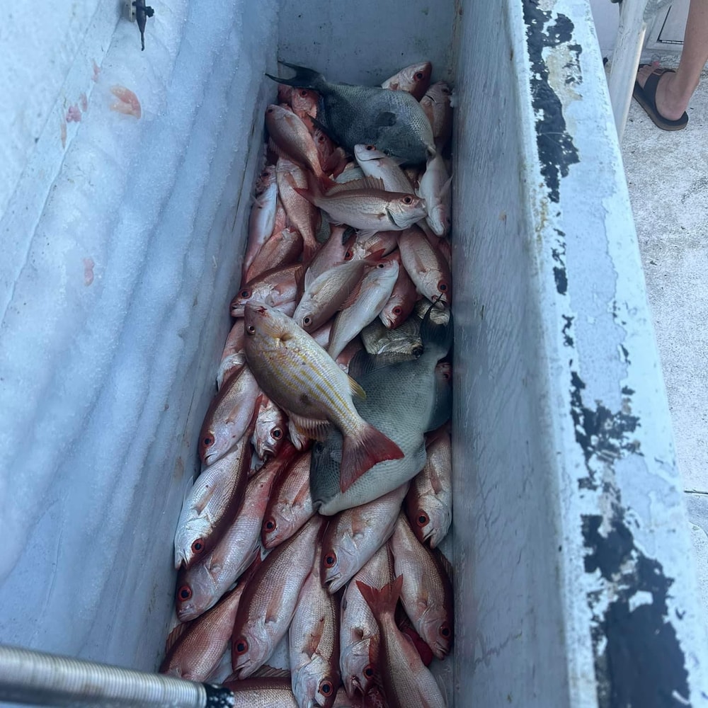 Fishing in Destin