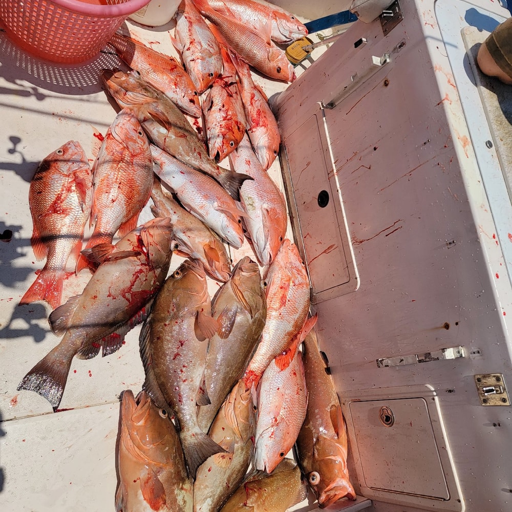 Fishing in Destin