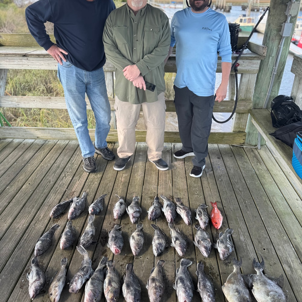Fishing in Destin