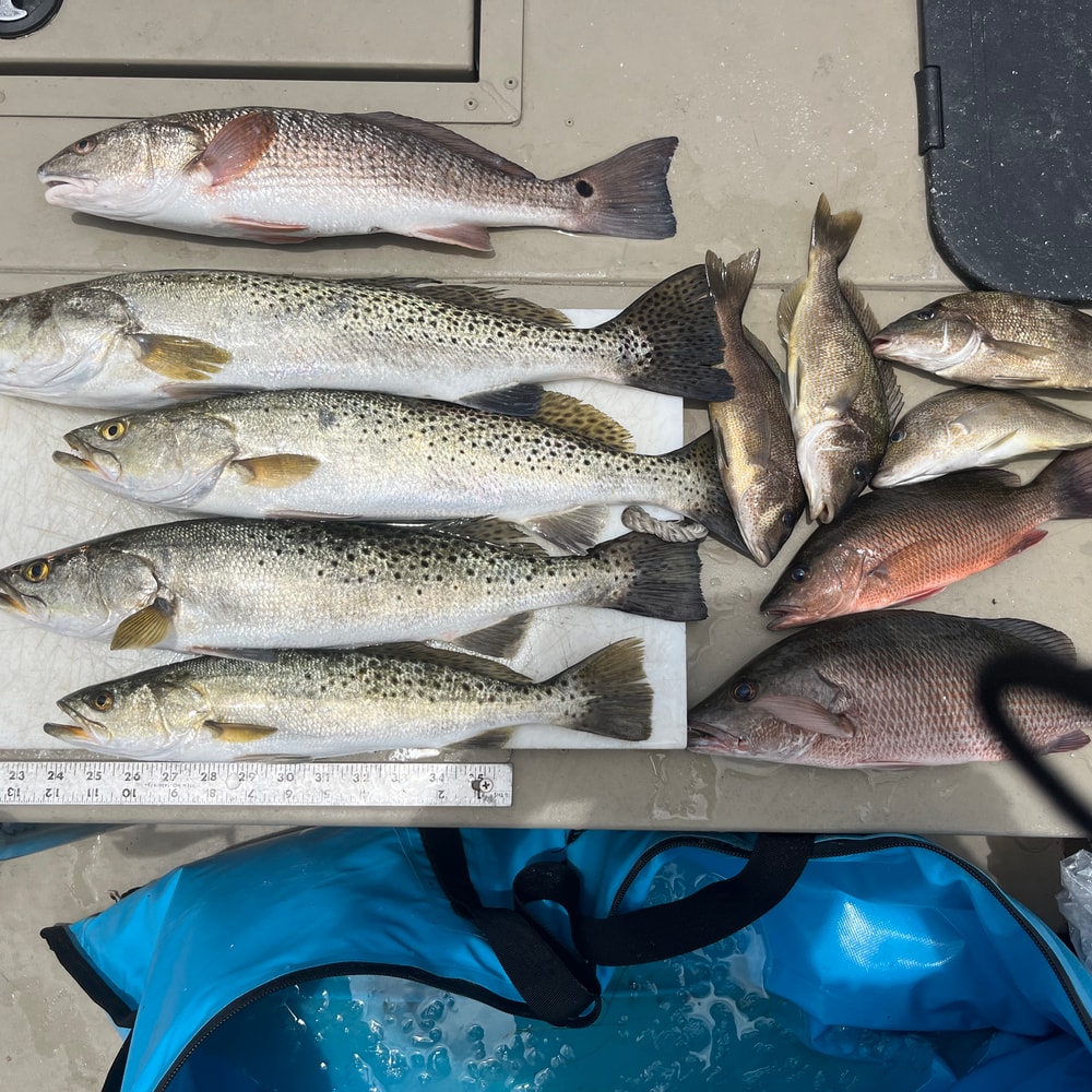 Fishing in Destin
