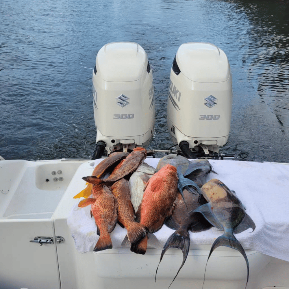 Fishing in Destin