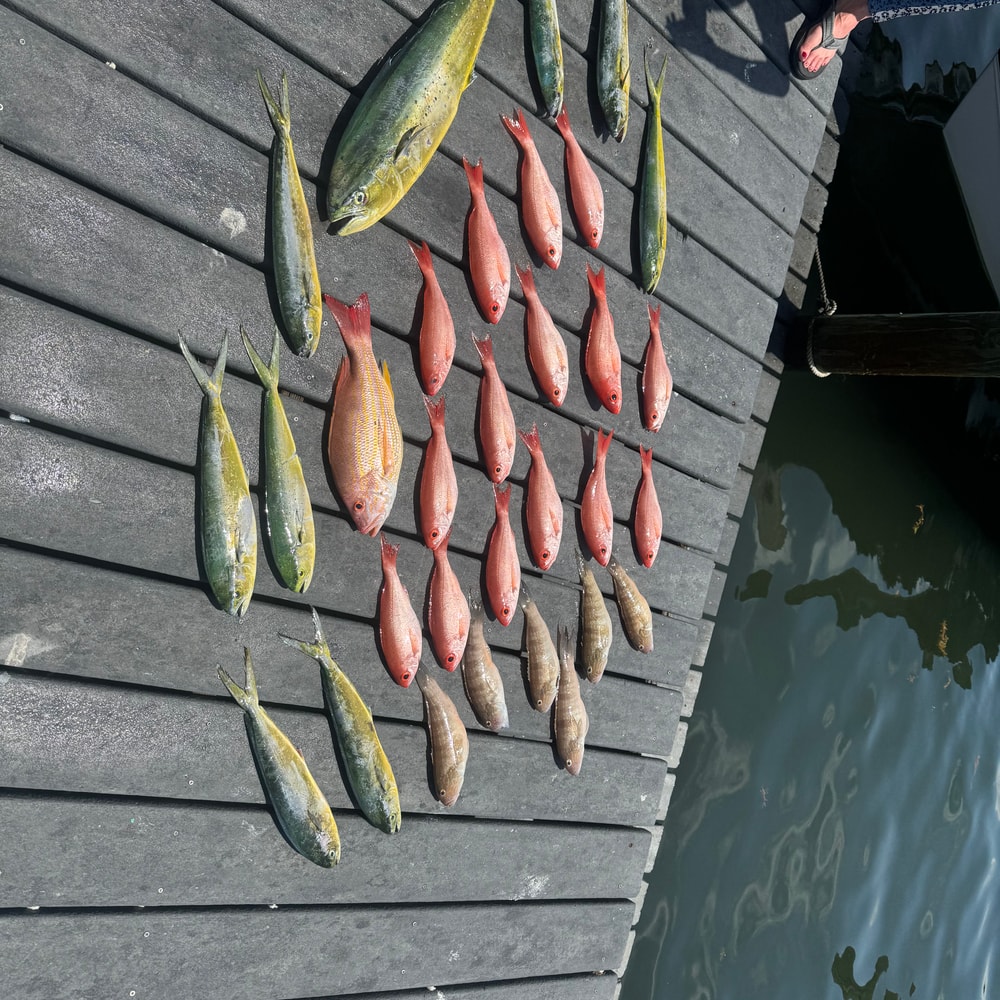 Fishing in Destin