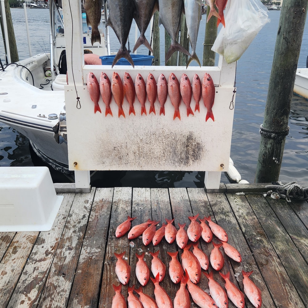 Fishing in Destin