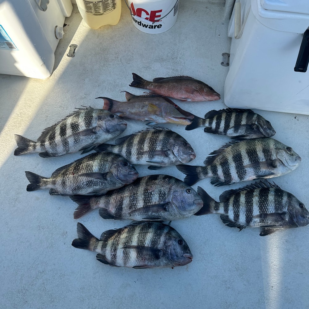 Fishing in Destin