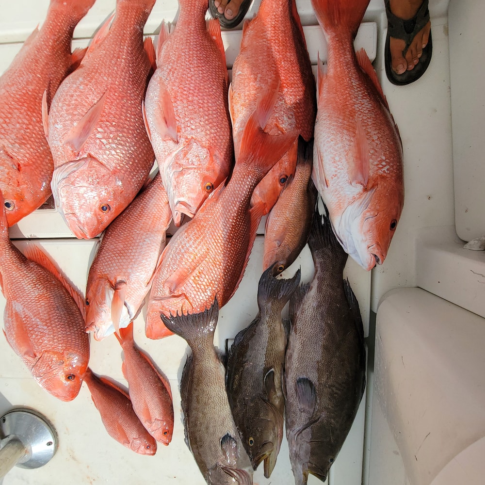 Fishing in Destin