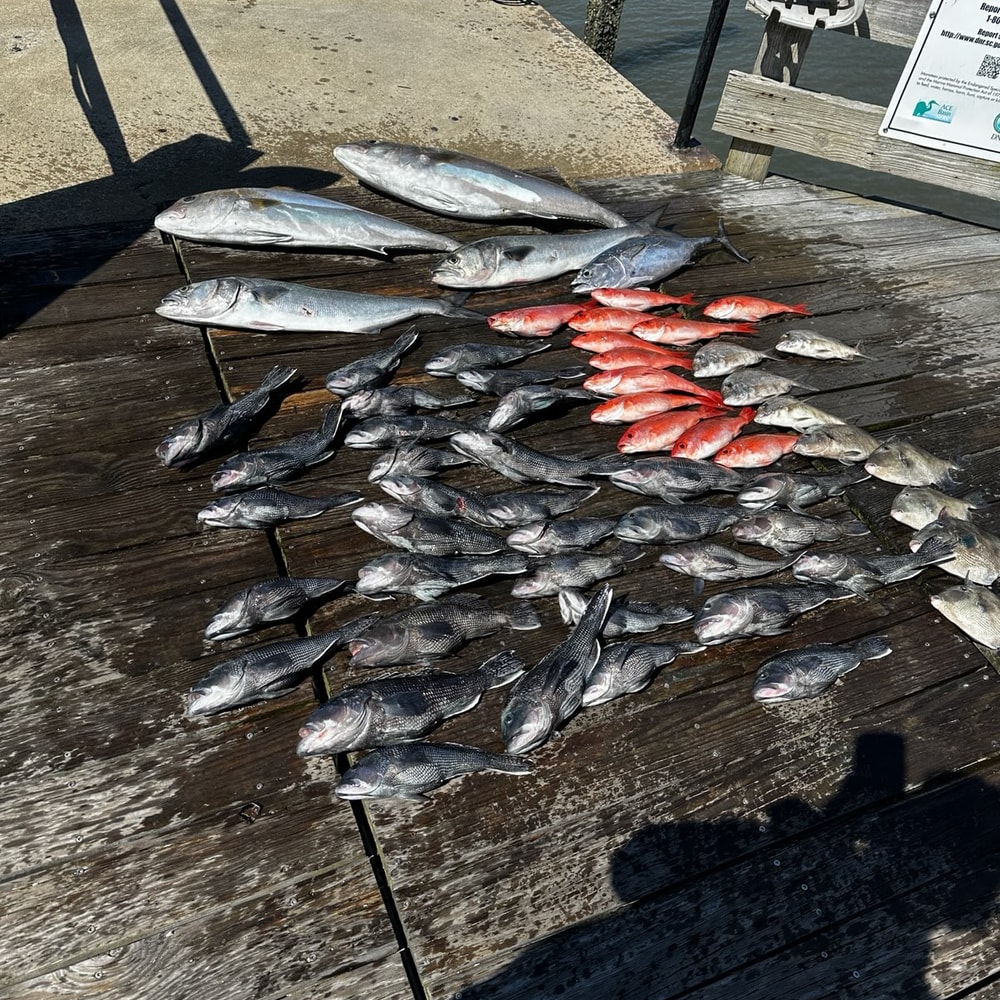 Fishing in Destin