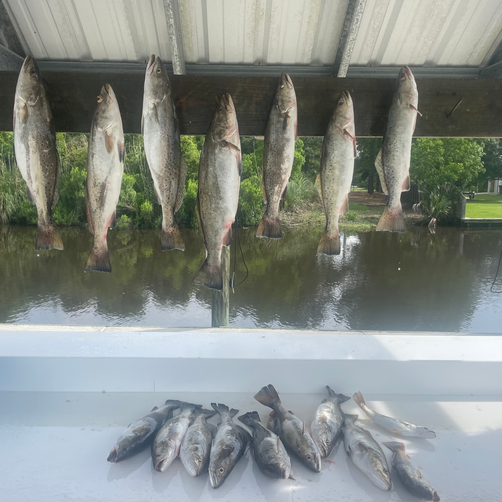Fishing in Destin