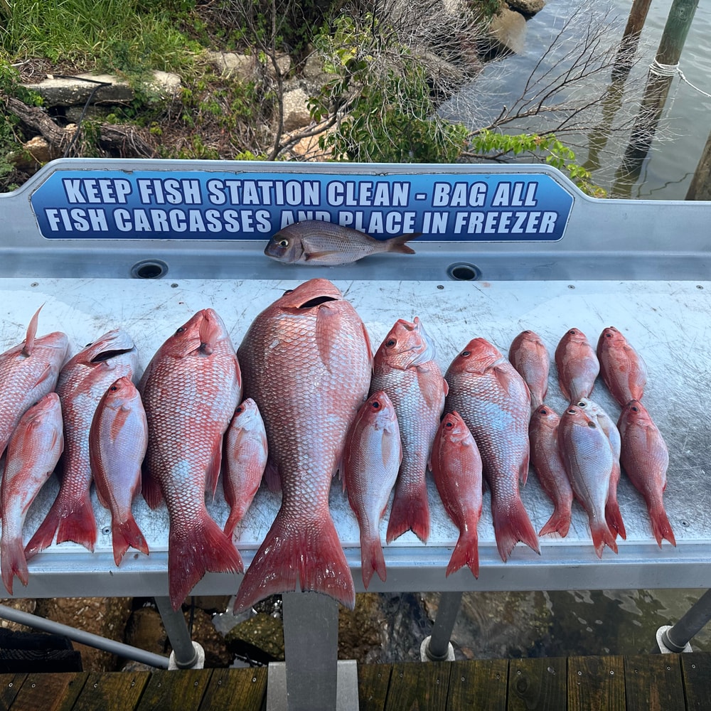 Fishing in Destin