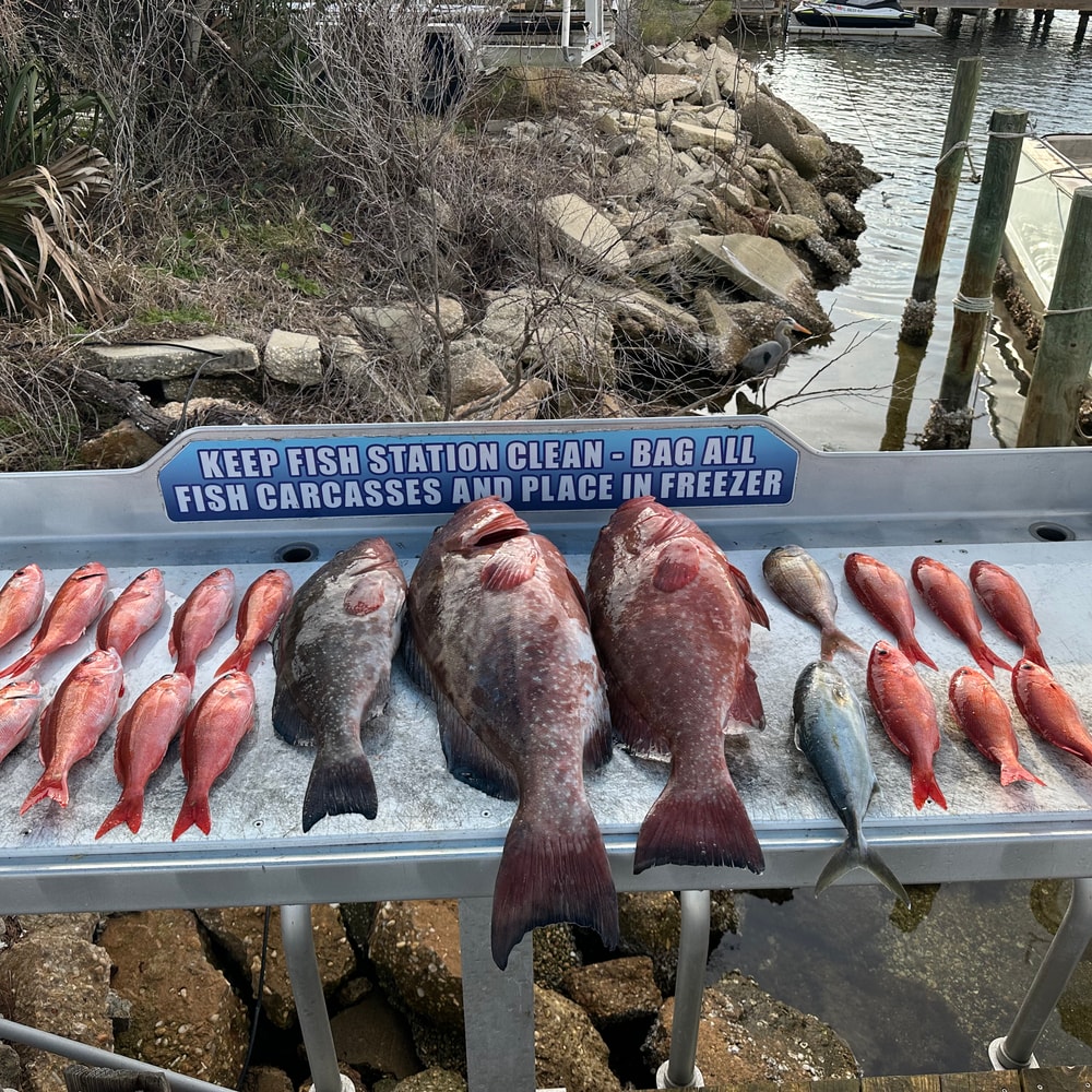 Fishing in Destin