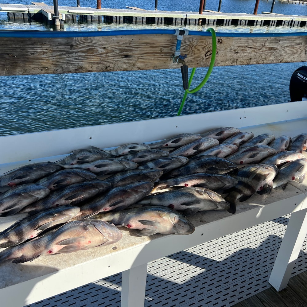 Fishing in Destin