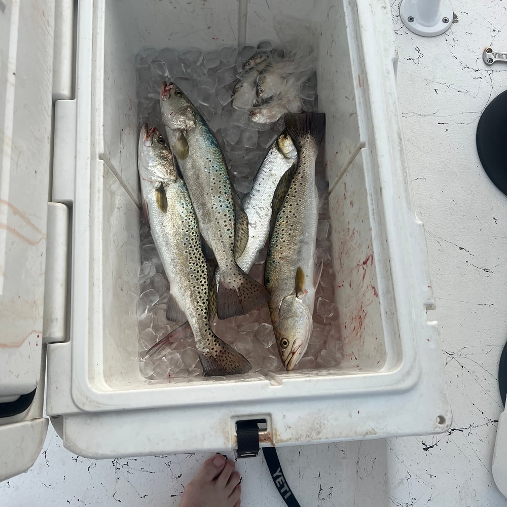 Fishing in Destin