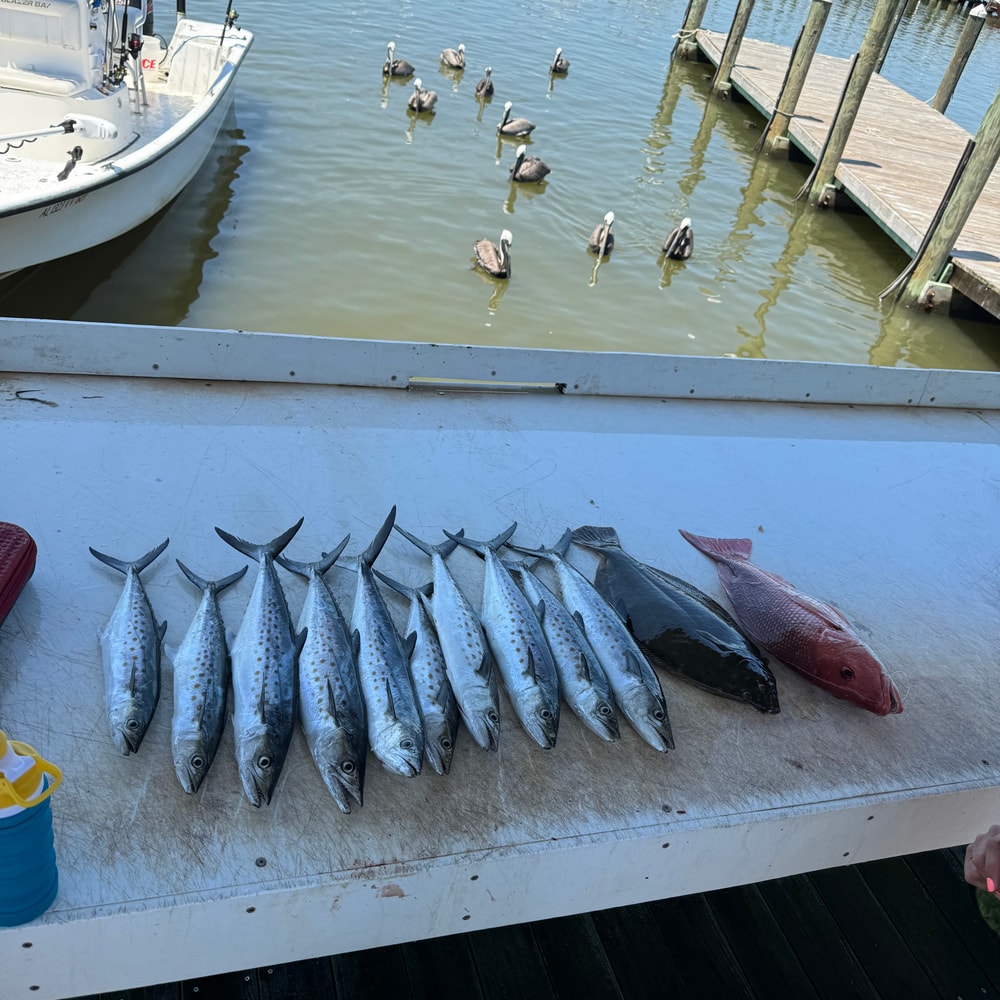 Fishing in Destin