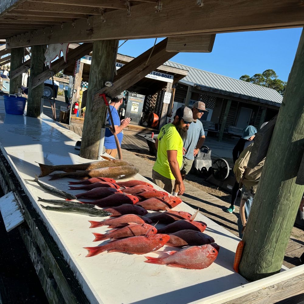Fishing in Destin