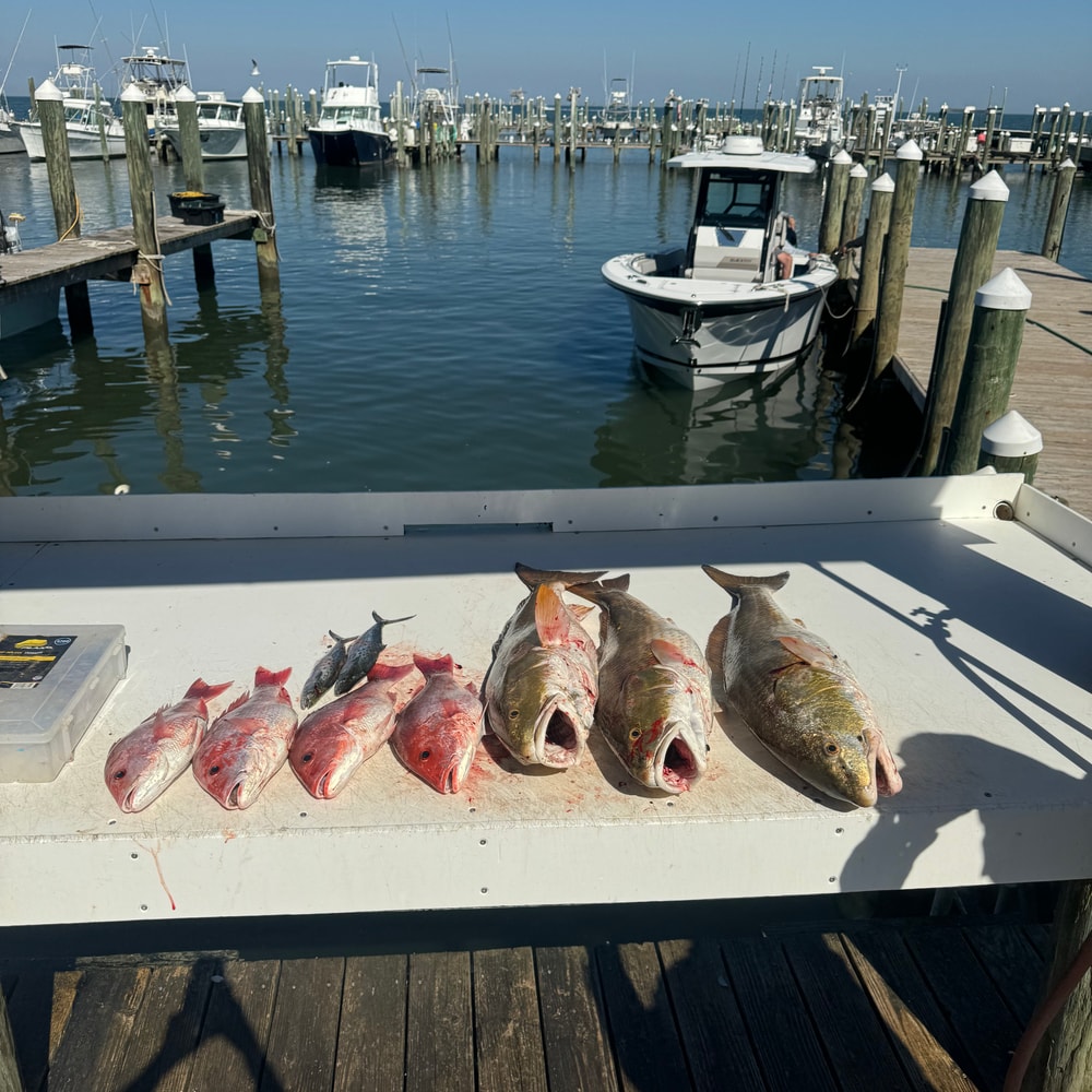Fishing in Destin
