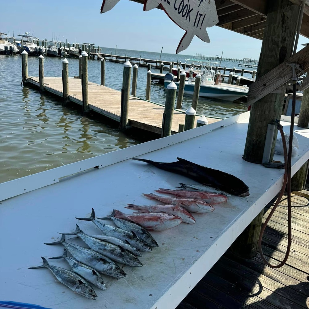Fishing in Destin