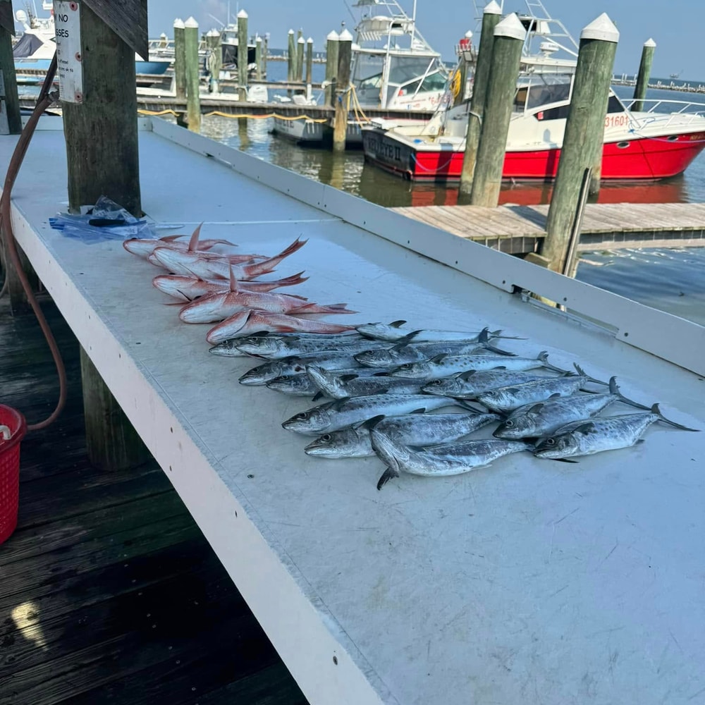 Fishing in Destin
