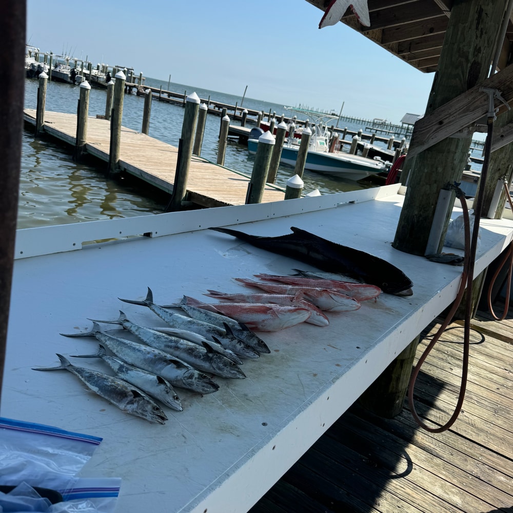 Fishing in Destin