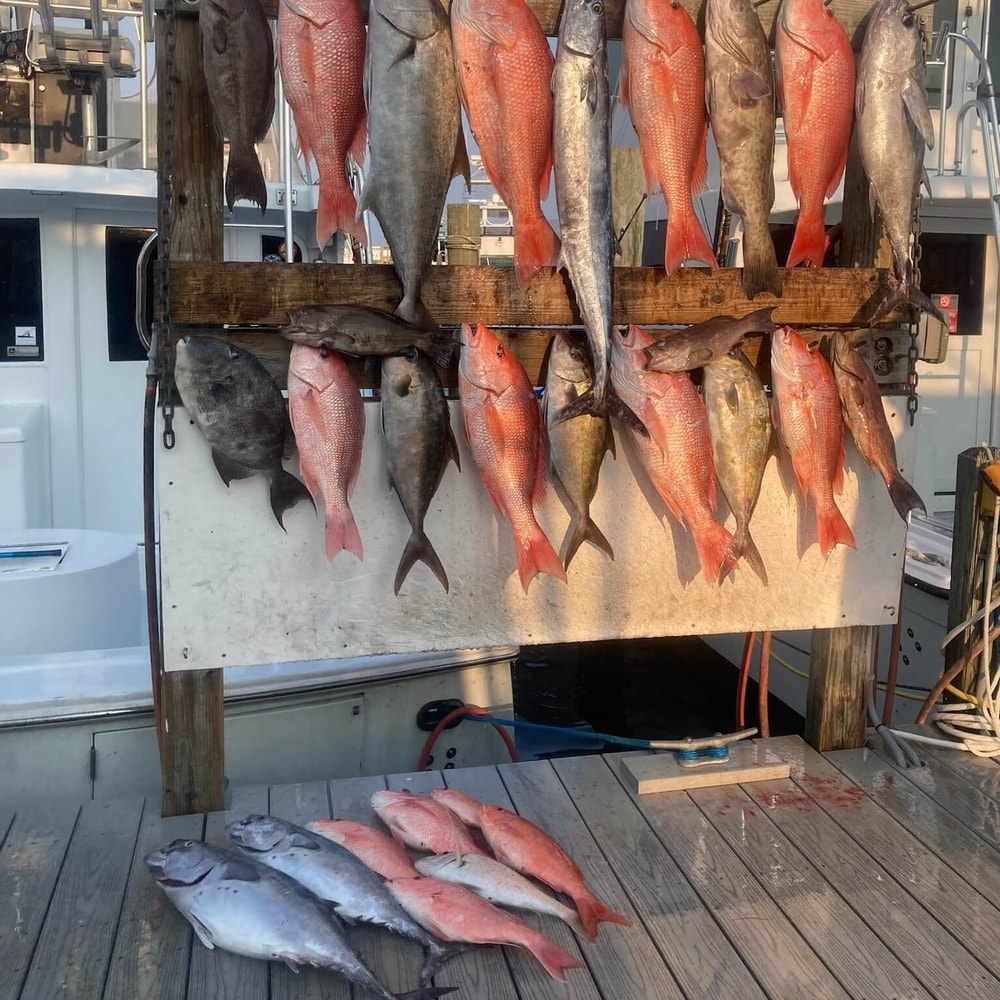 Fishing in Destin