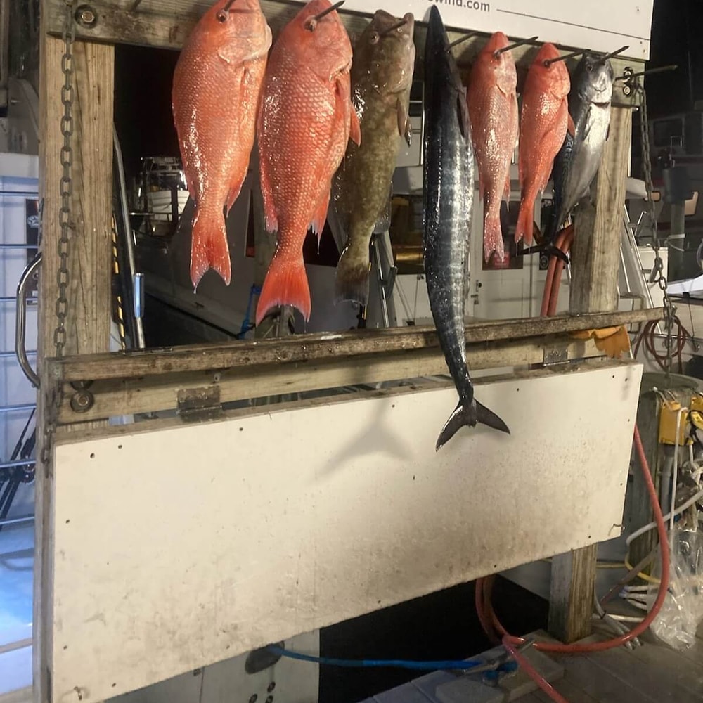 Fishing in Destin