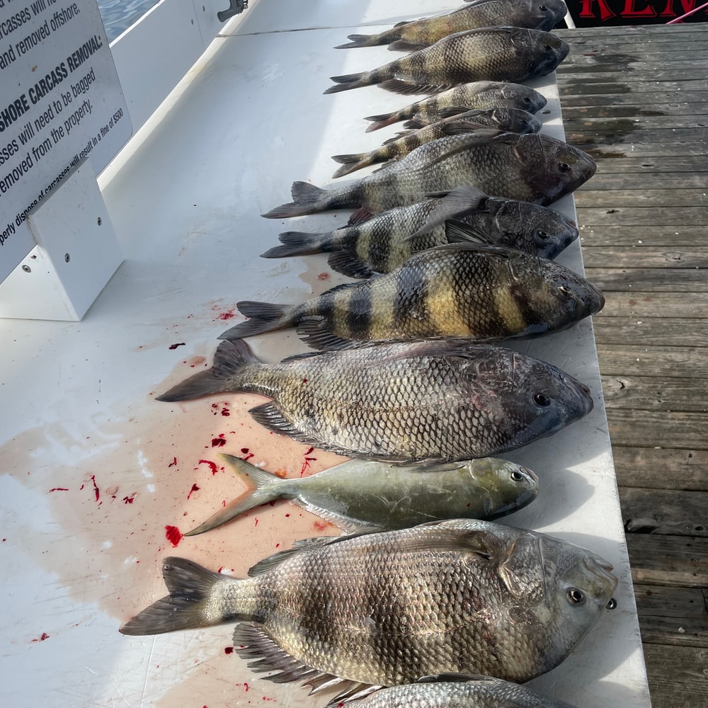 Fishing in Destin