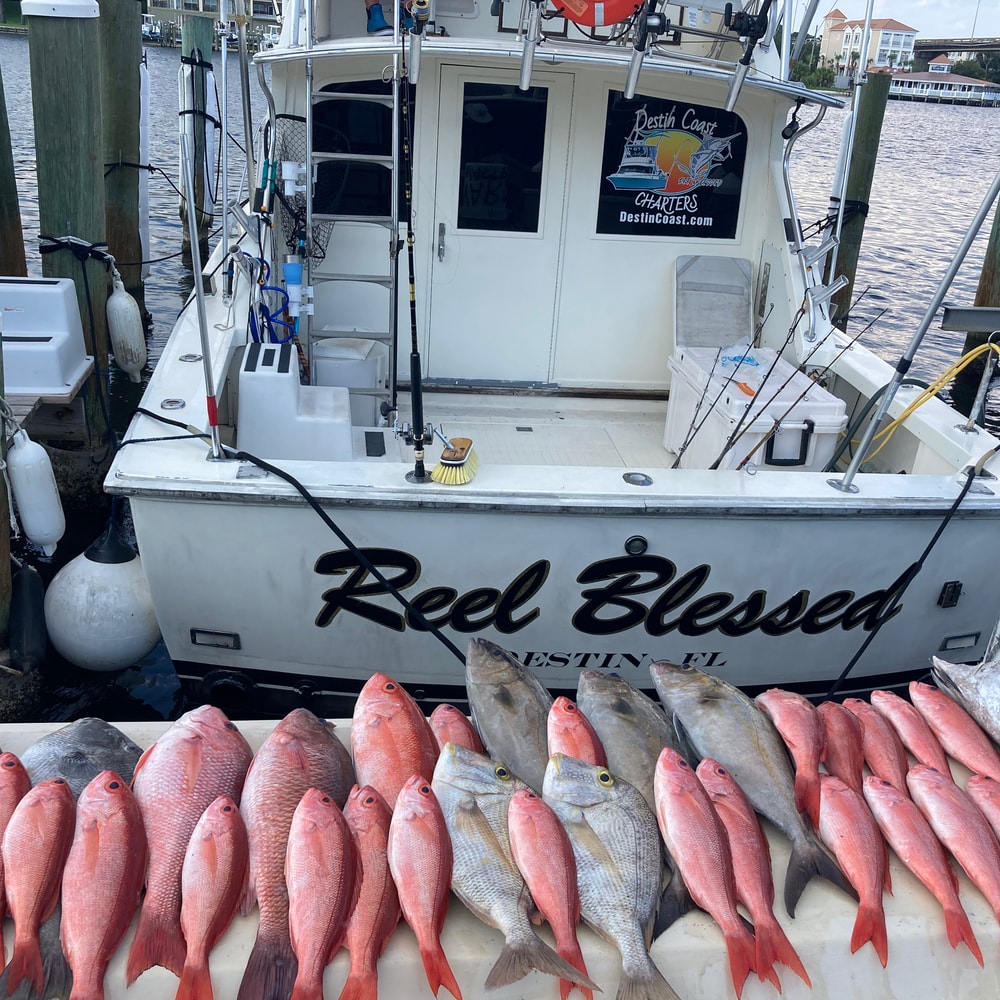 Fishing in Destin
