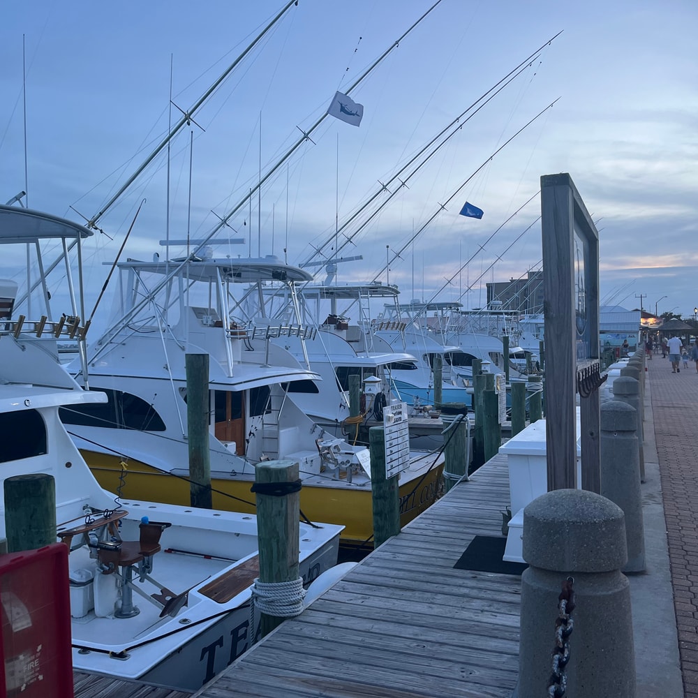 Fishing in Destin