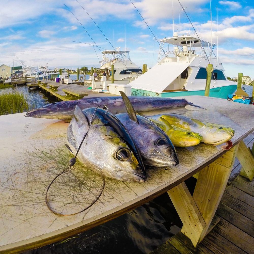 Fishing in Destin