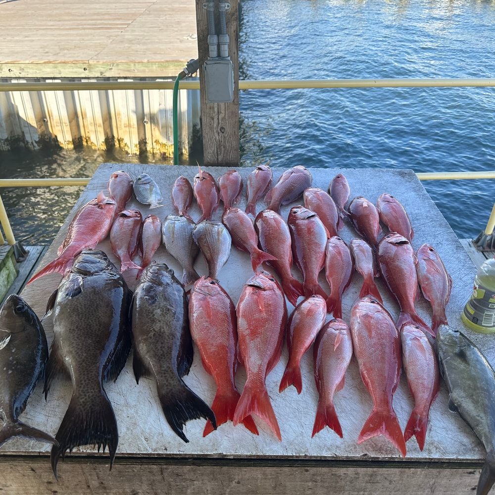 Fishing in Destin
