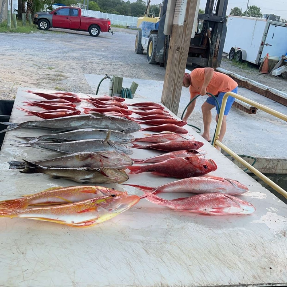 Fishing in Destin