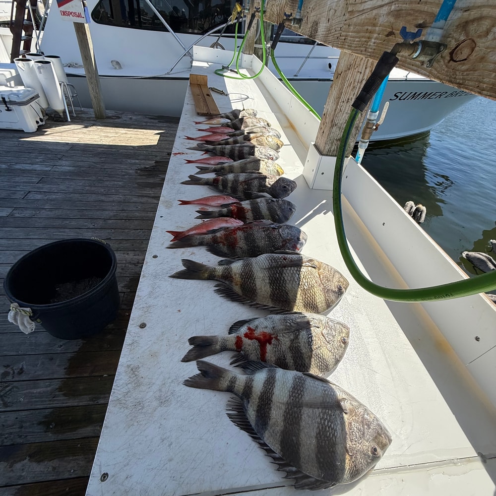 Fishing in Destin