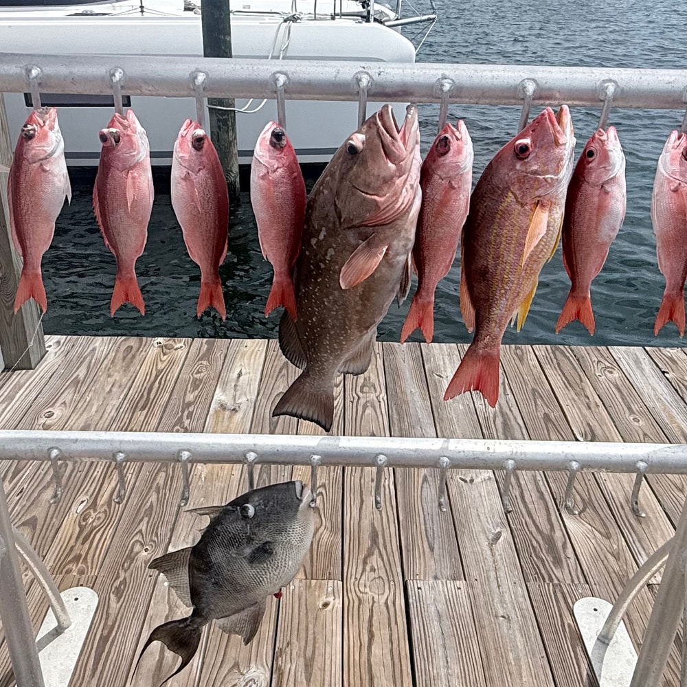 Fishing in Destin