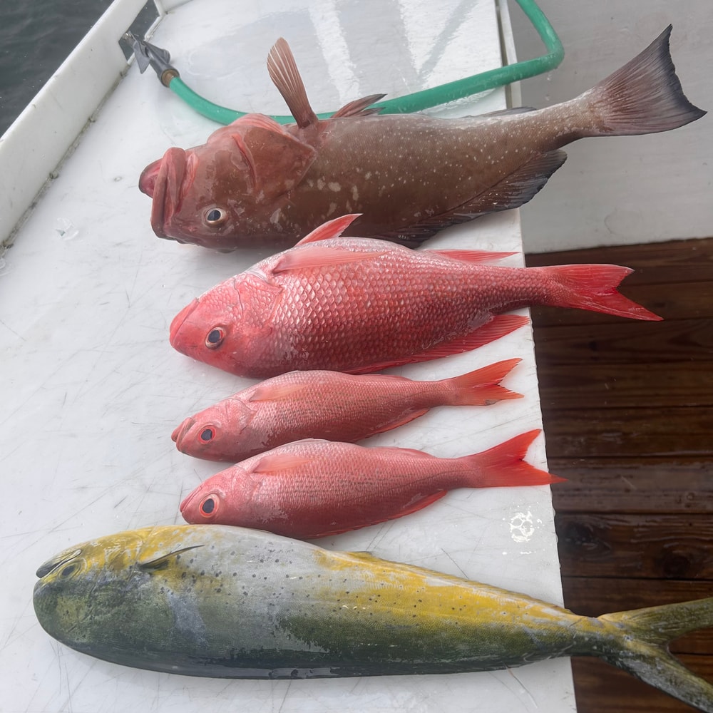 Fishing in Destin