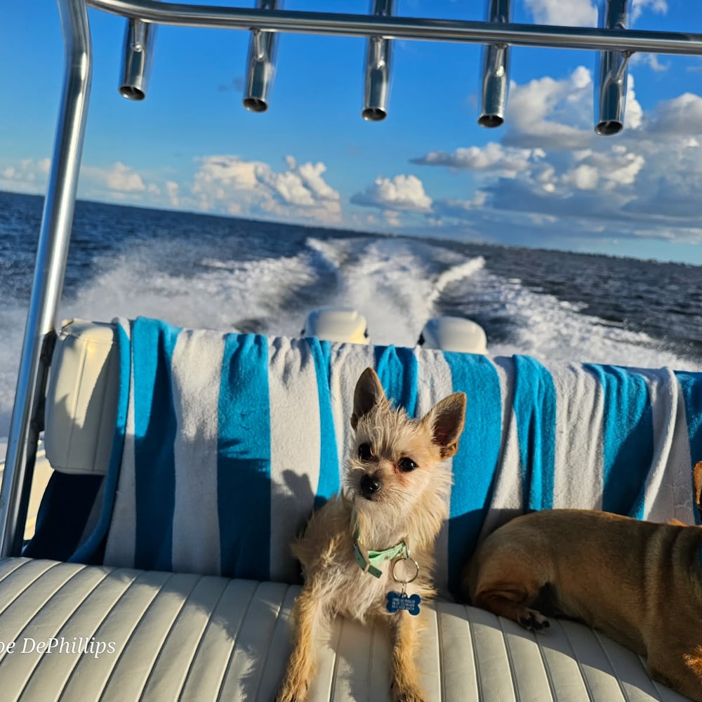 Fishing in Destin