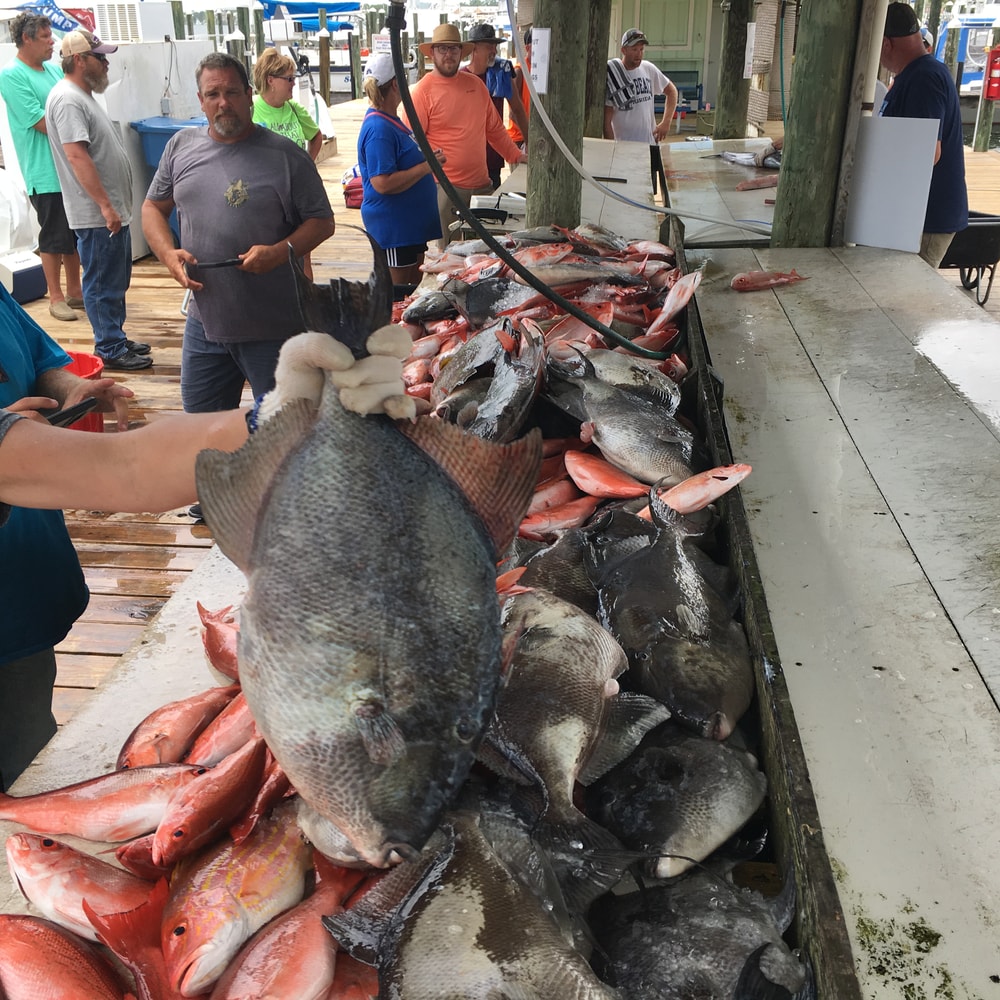 Fishing in Destin