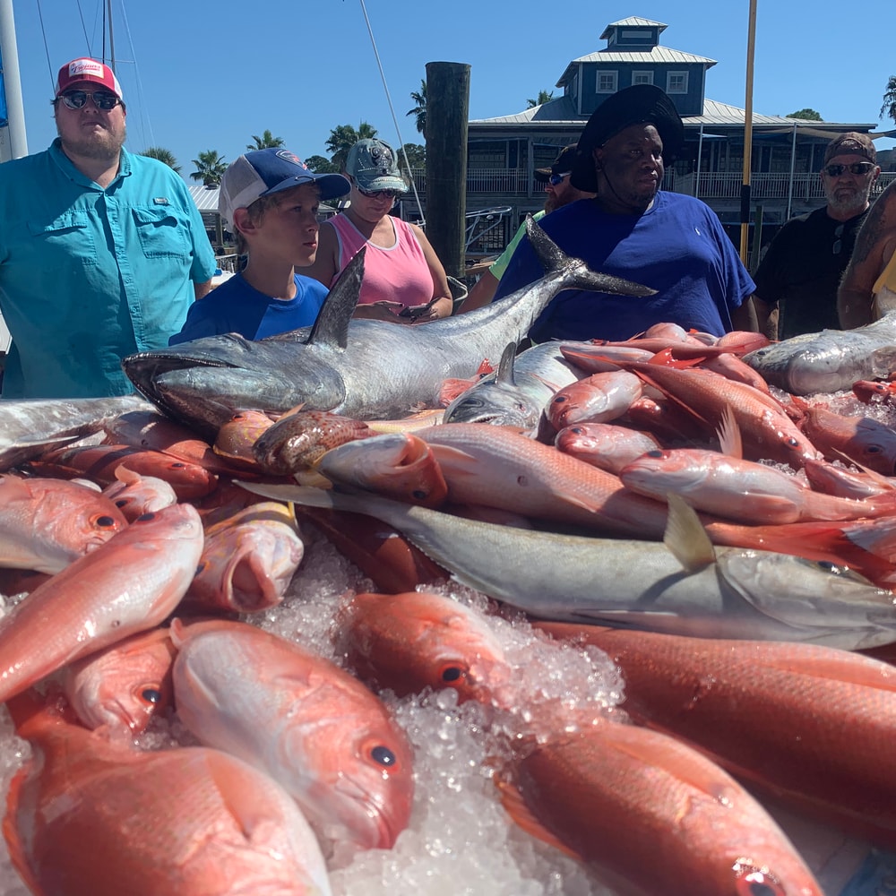 Fishing in Destin