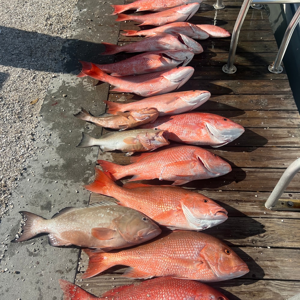 Fishing in Destin