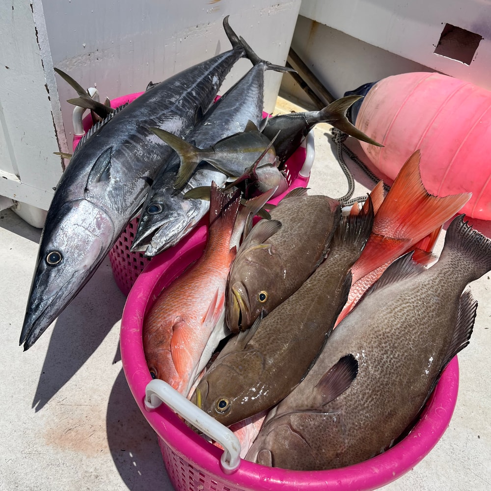 Fishing in Destin