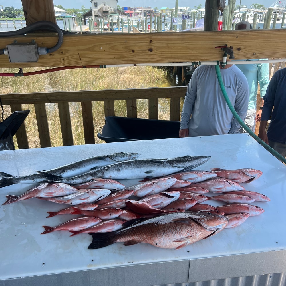 Fishing in Destin