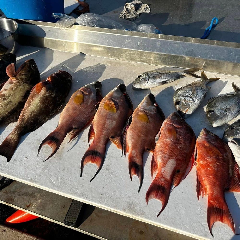 Fishing in Destin