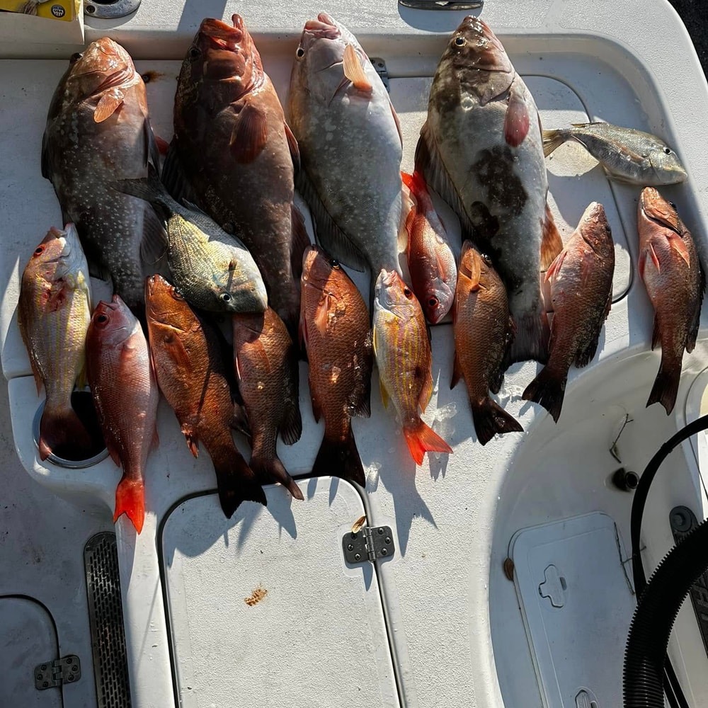 Fishing in Destin
