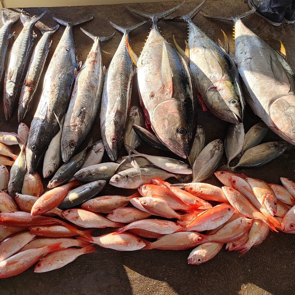 Fishing in Destin