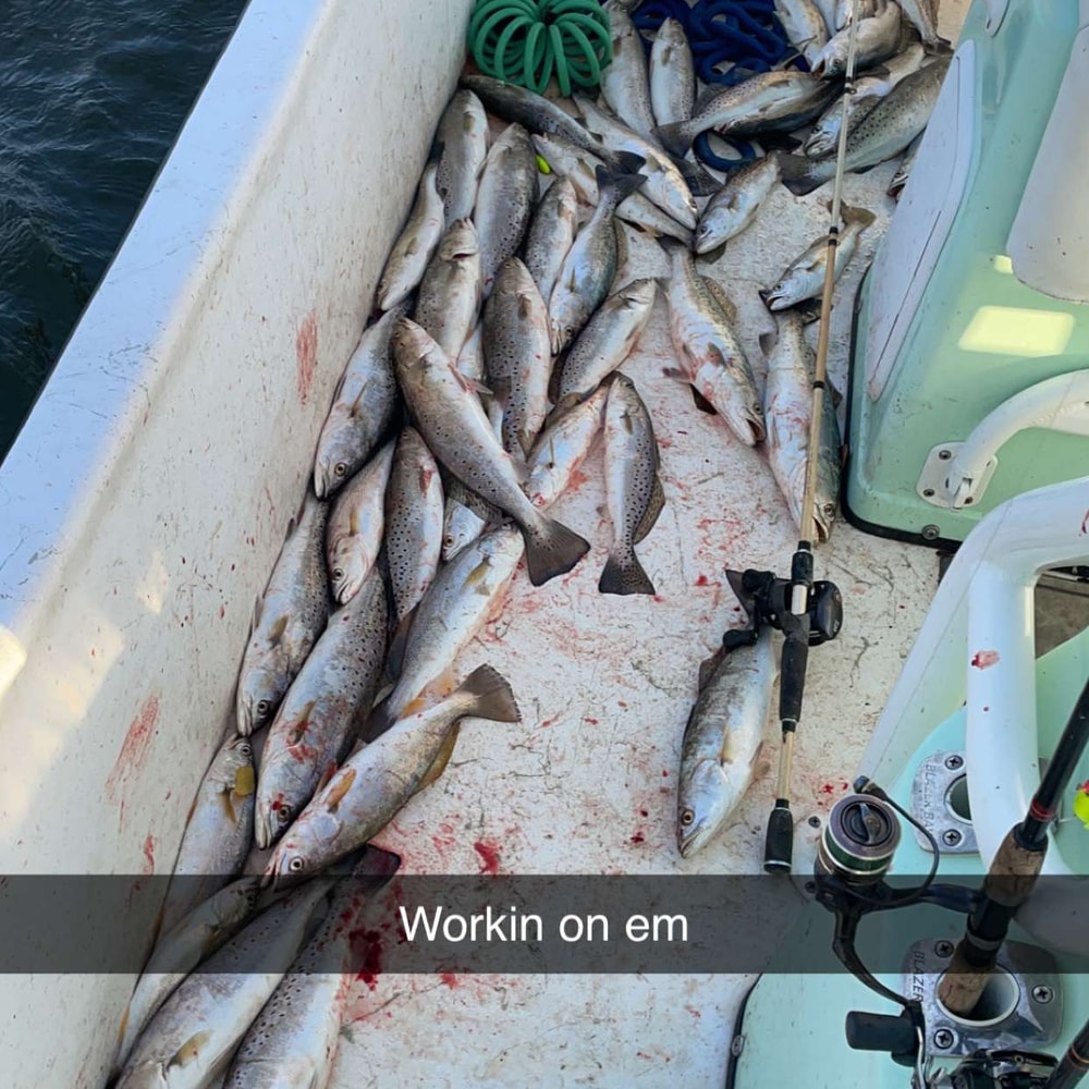 Fishing in Destin