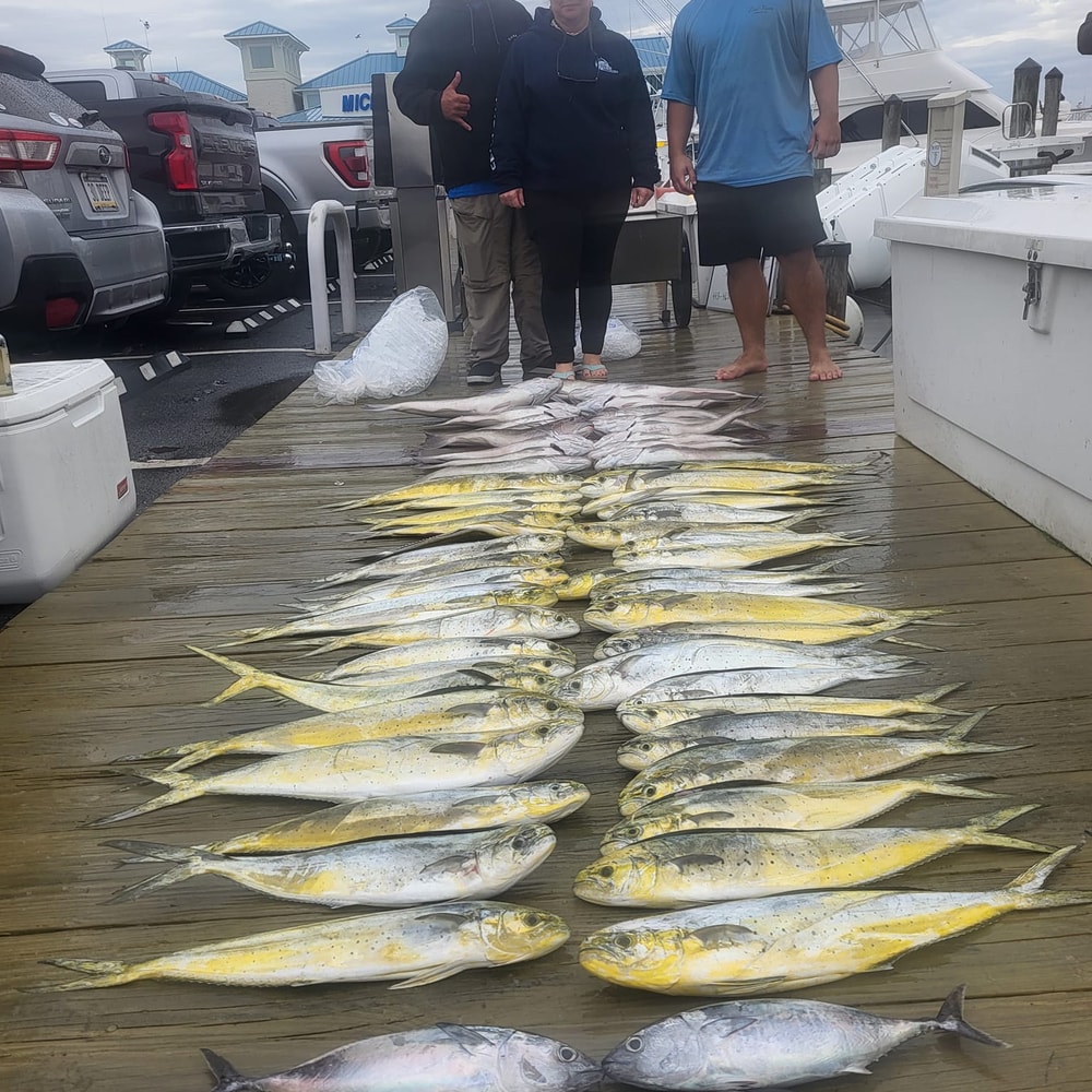 Fishing in Destin